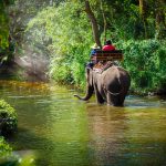 Khao Sok, die reine Schönheit Thailands