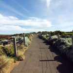 Great Ocean Walk
