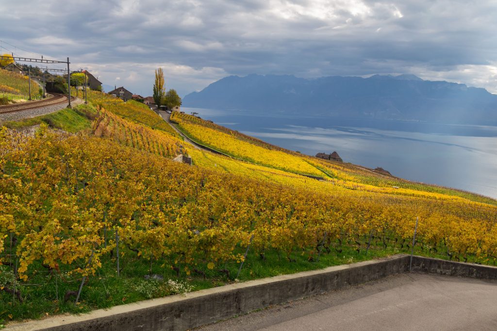 Weinbergterrassen von Lavaux