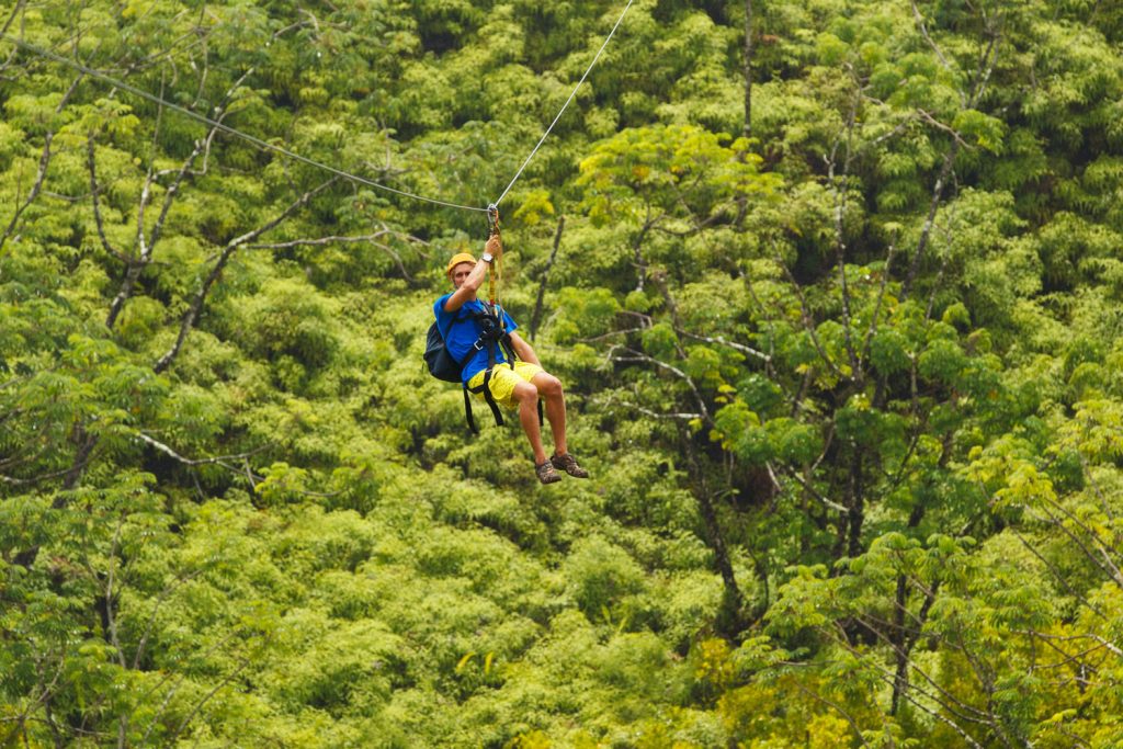 Tree Top Walk