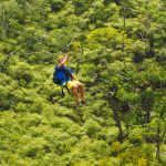 Tree Top Walk