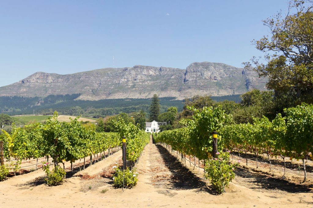 Weinproben