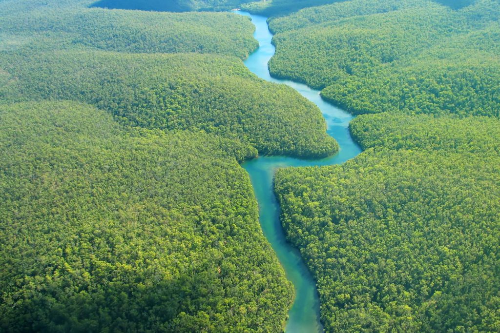 Bootstour auf dem Amazonas