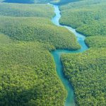 Bootstour auf dem Amazonas