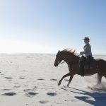 Ausritt am Strand