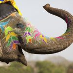Indien – die wichtigsten Reisetipps
