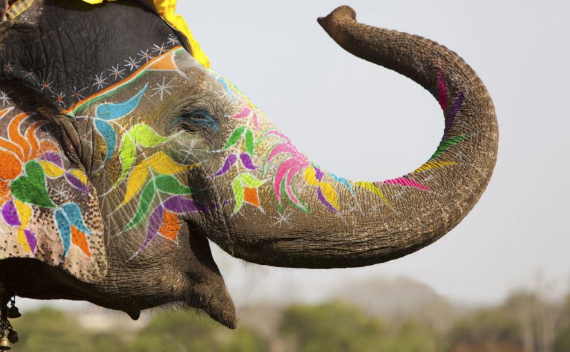 Indien – die wichtigsten Reisetipps