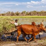 Auf Madagaskar laufen die Uhren anders
