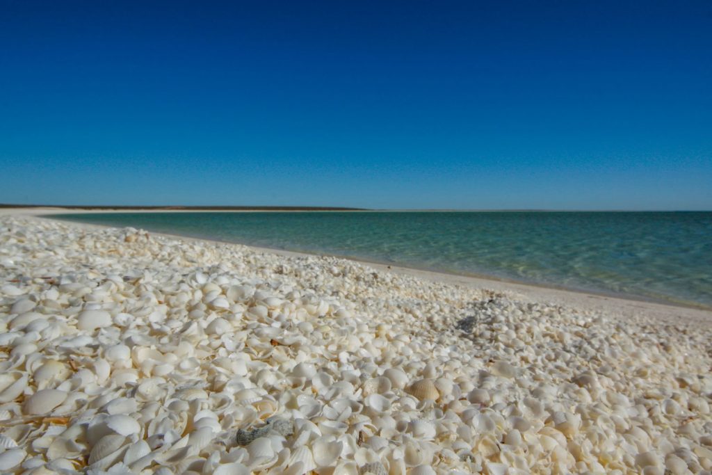 Shell Beach, Australien
