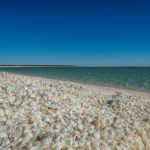 Shell Beach, Australien
