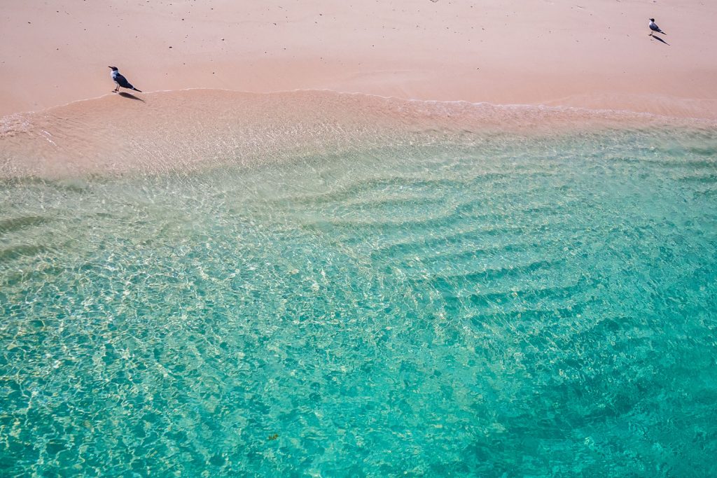 Pink Sand Beach, Bahamas