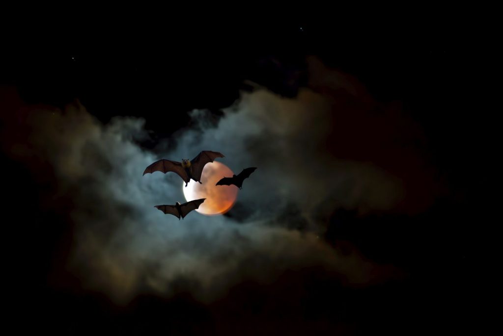 Vampire