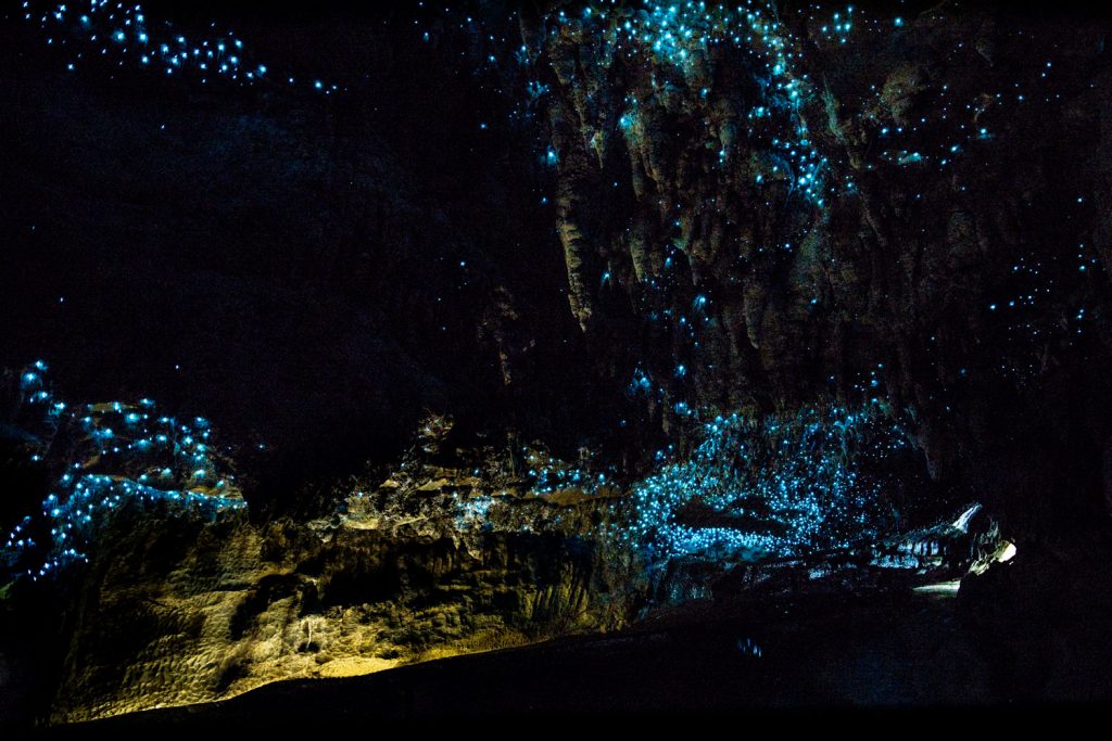 Waitomoto Caves