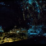 Waitomoto Caves