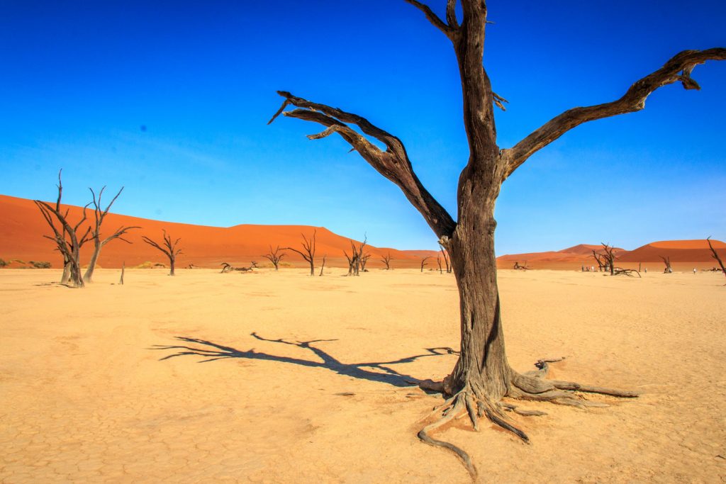 Namibia: Deadvlei