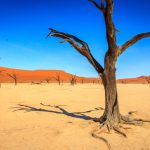 Namibia: Deadvlei