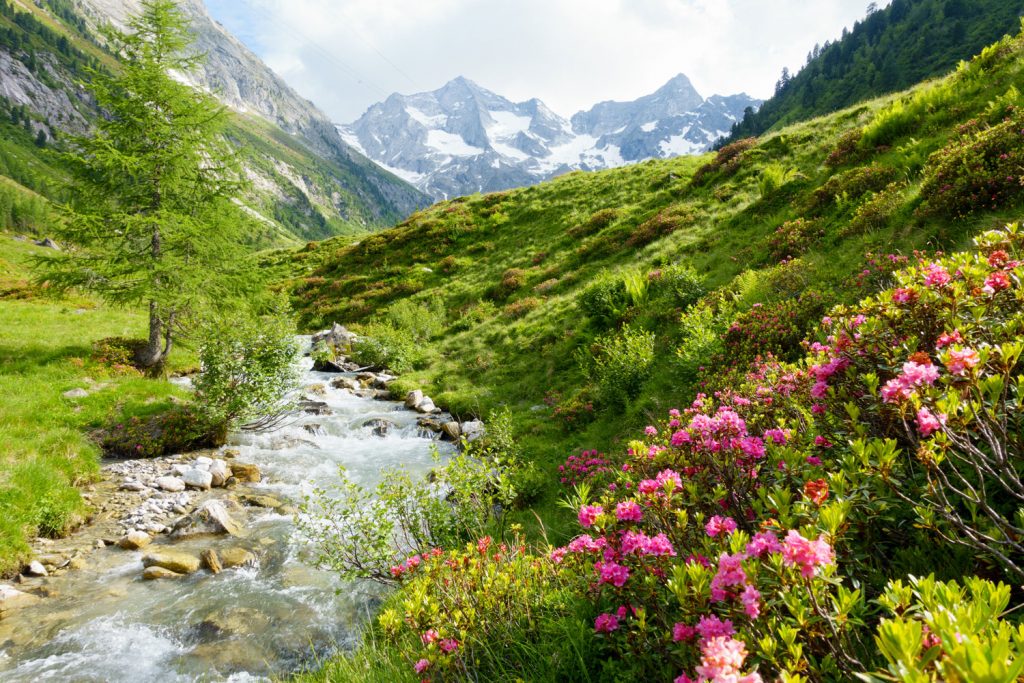 Südtirol