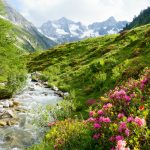 Südtirol