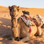 Outdoor-Urlaub vom Feinsten