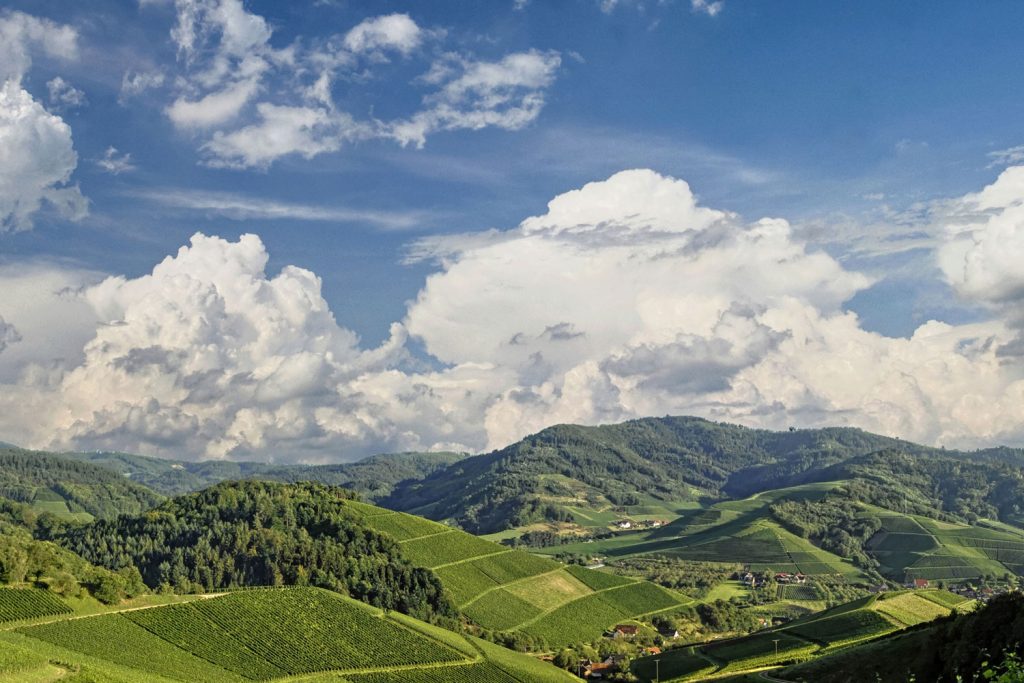 Schwarzwal Panoramastraße