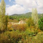 Zypern