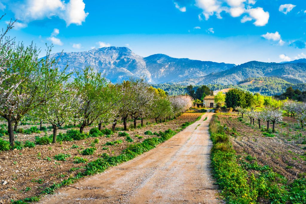Mallorca