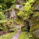 Die Wanderwege...