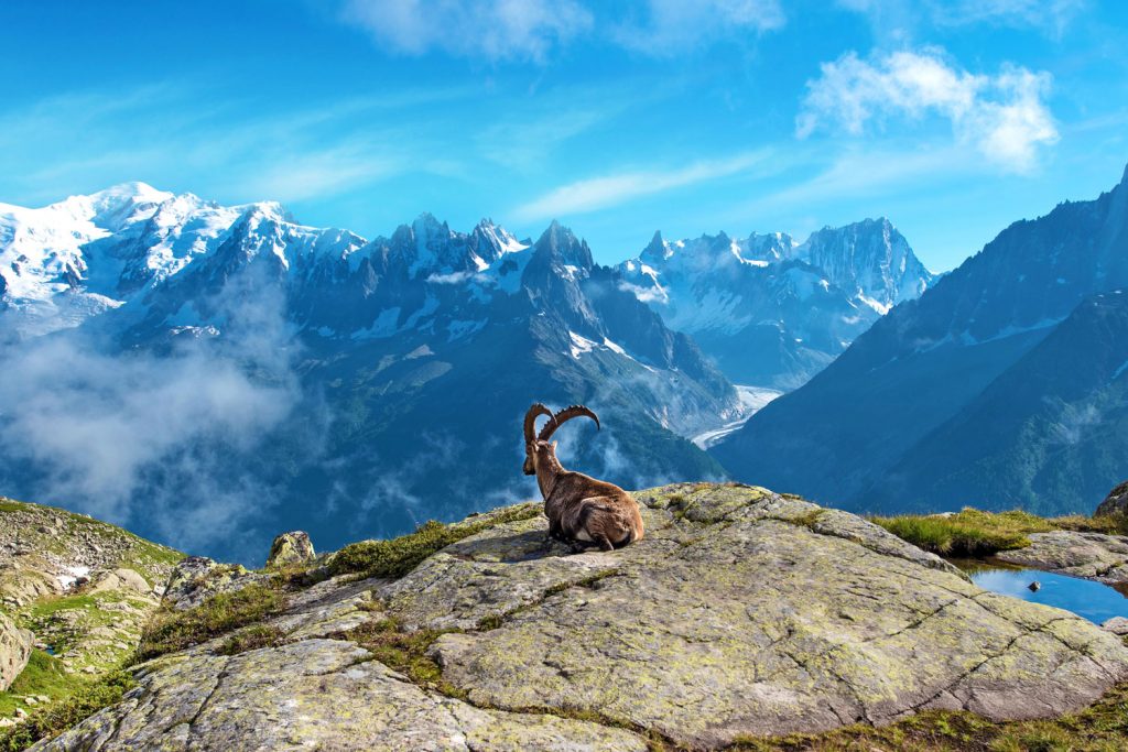Atemberaubende Schweiz