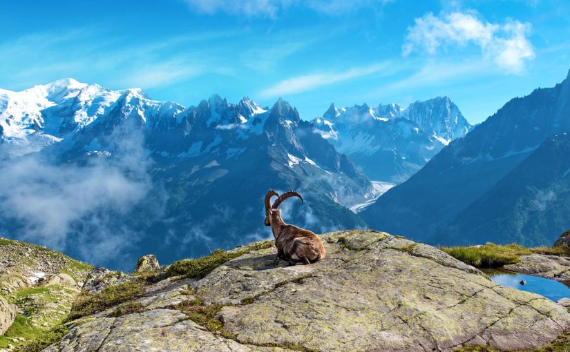 Atemberaubende Schweiz