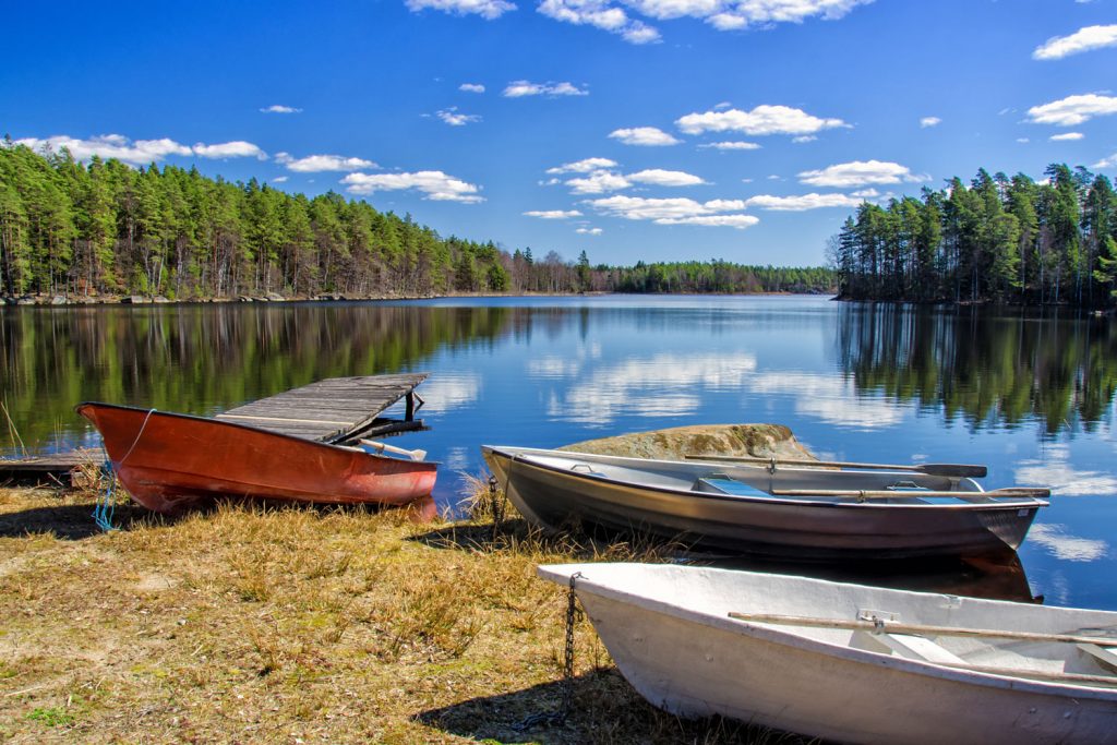 Schweden pur