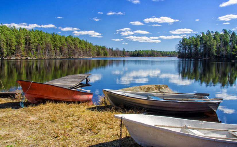 Schweden pur