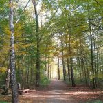 Wenn der Central Park vor Neid erblasst
