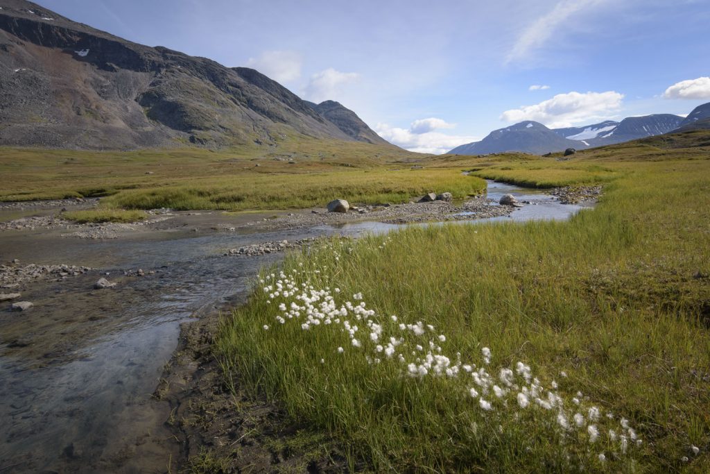 Kungsleden