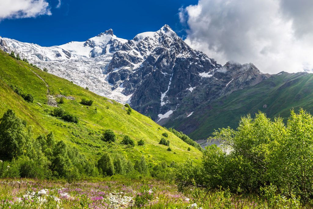 6. Georgien: Tetnuldi