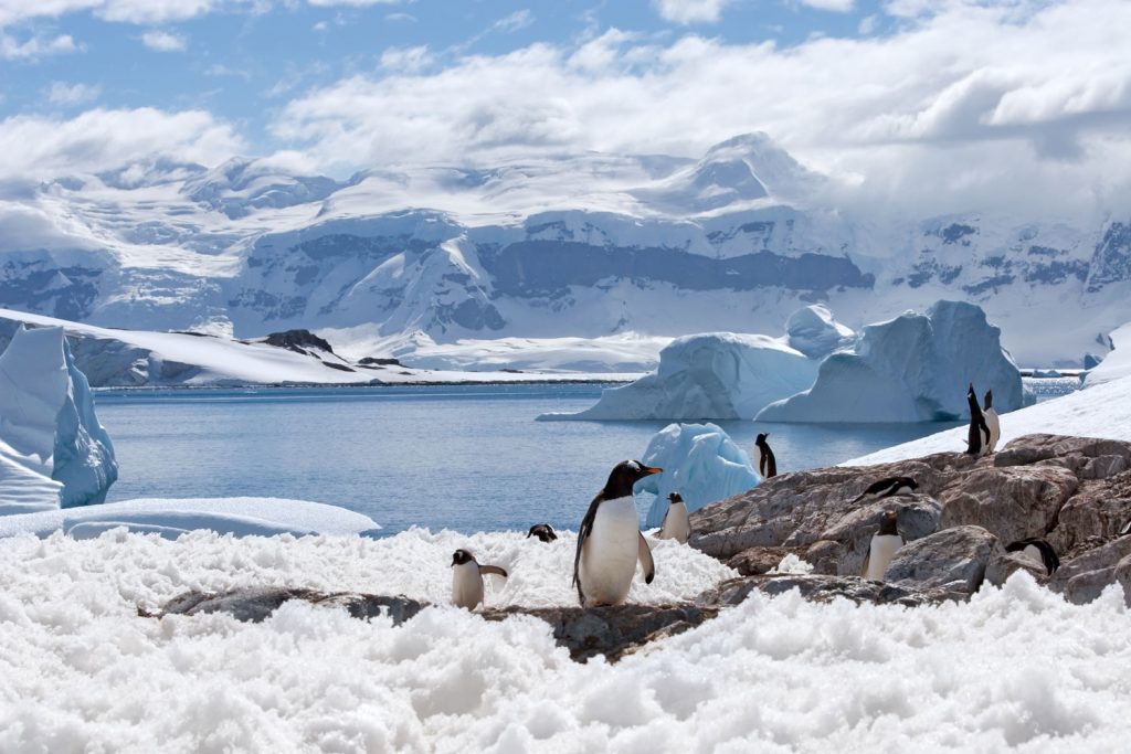 Antarctica Marathon