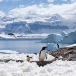 Antarctica Marathon