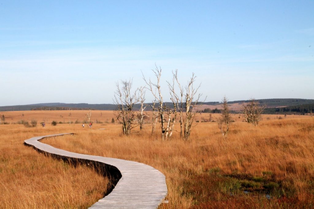 Die Moorlandschaft...