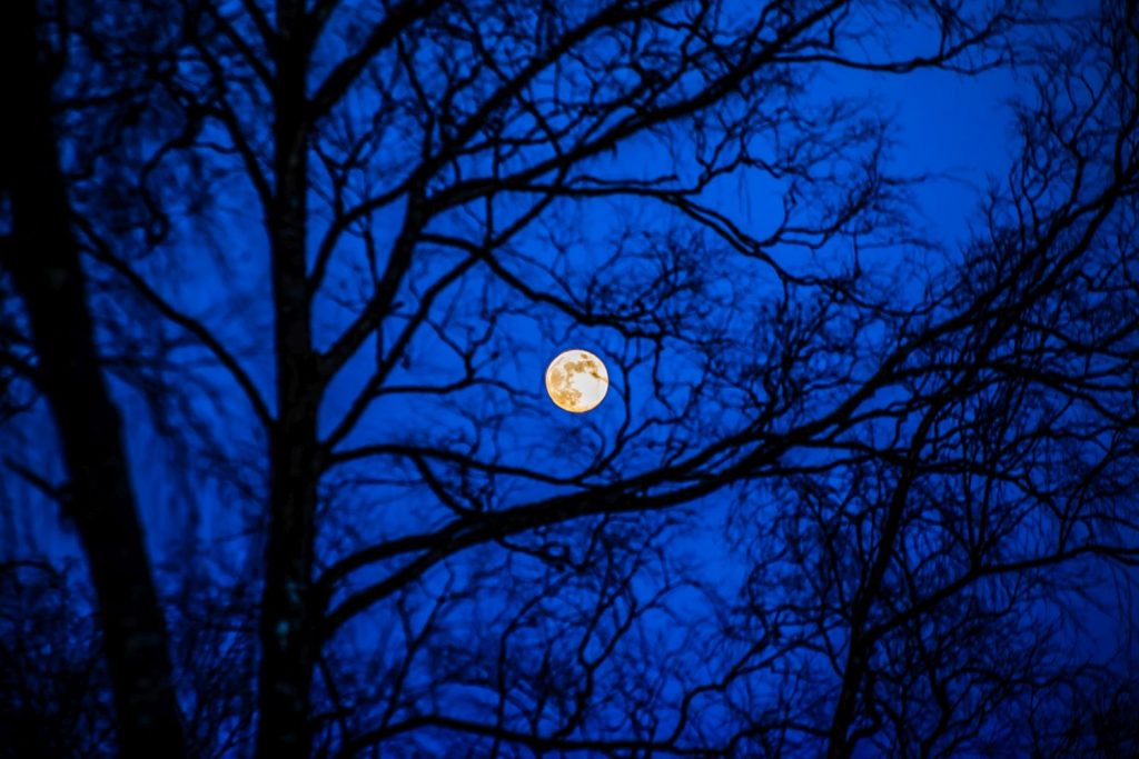 Vollmond