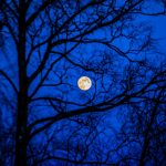 Vollmond