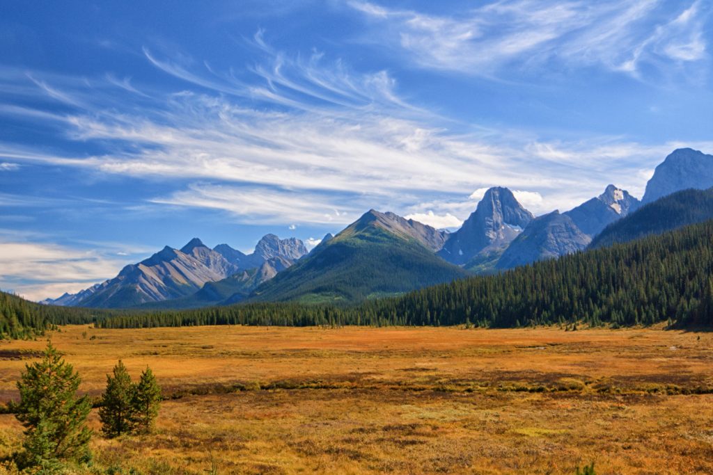 Naturschutz in den Rocky Mountains
