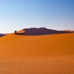 Namib