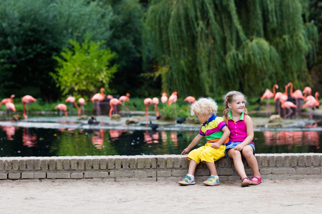 Zoo