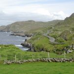 The Beara Way