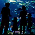 The Blue Planet