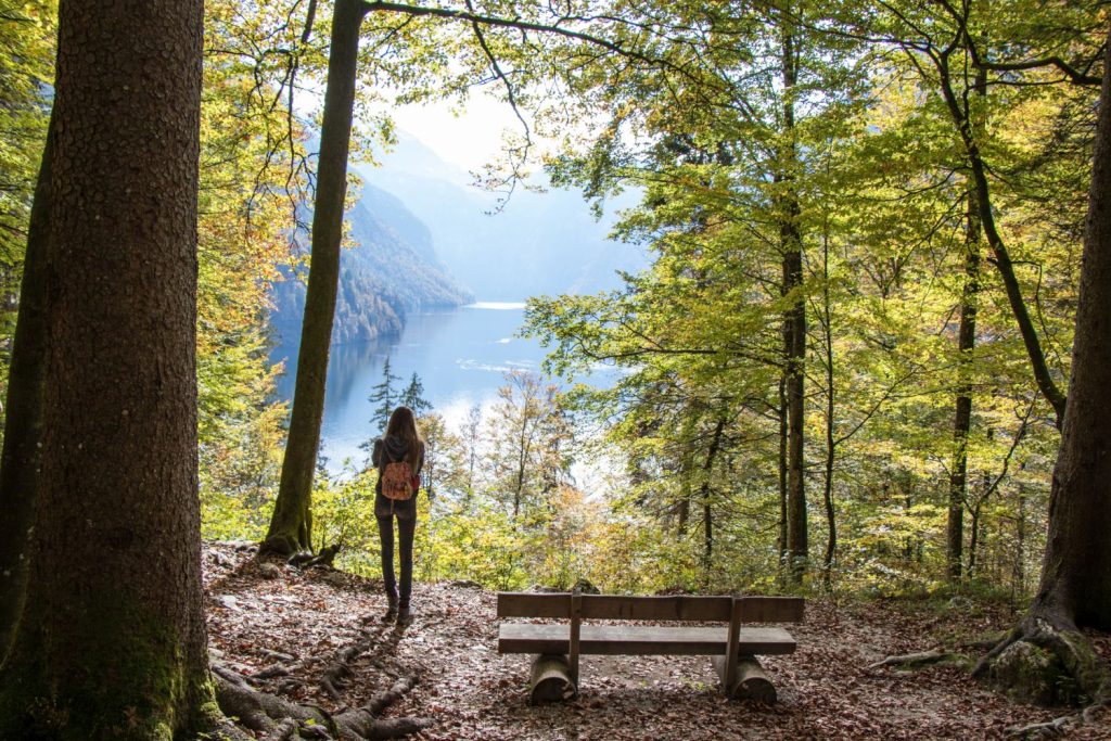 Natur