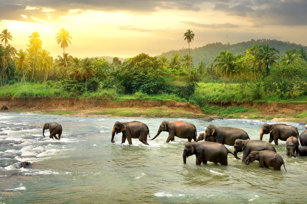 Sri Lanka – vielfältig und atemberaubend