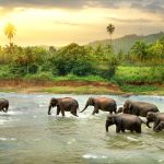 Sri Lanka – vielfältig und atemberaubend