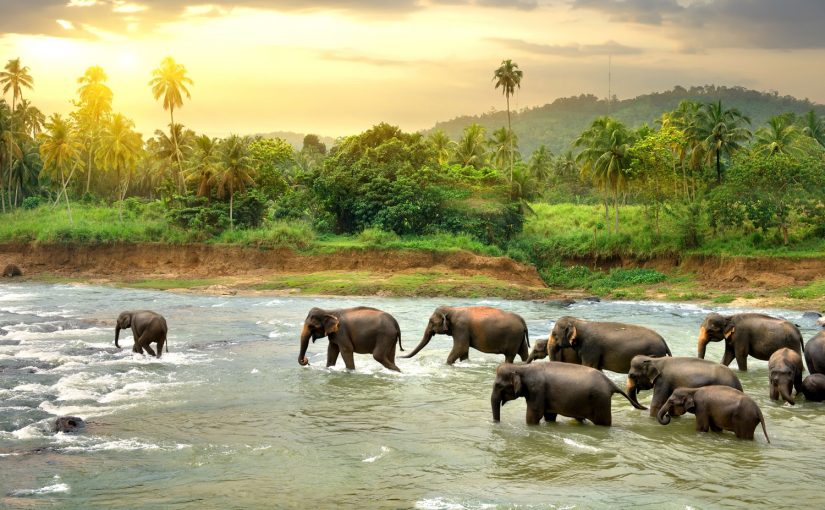 Sri Lanka – vielfältig und atemberaubend