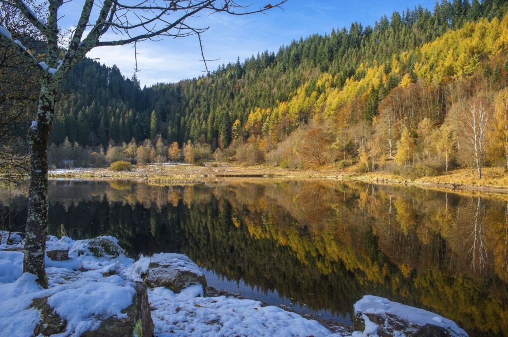 Der Schwarzwald...