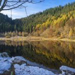 Der Schwarzwald...